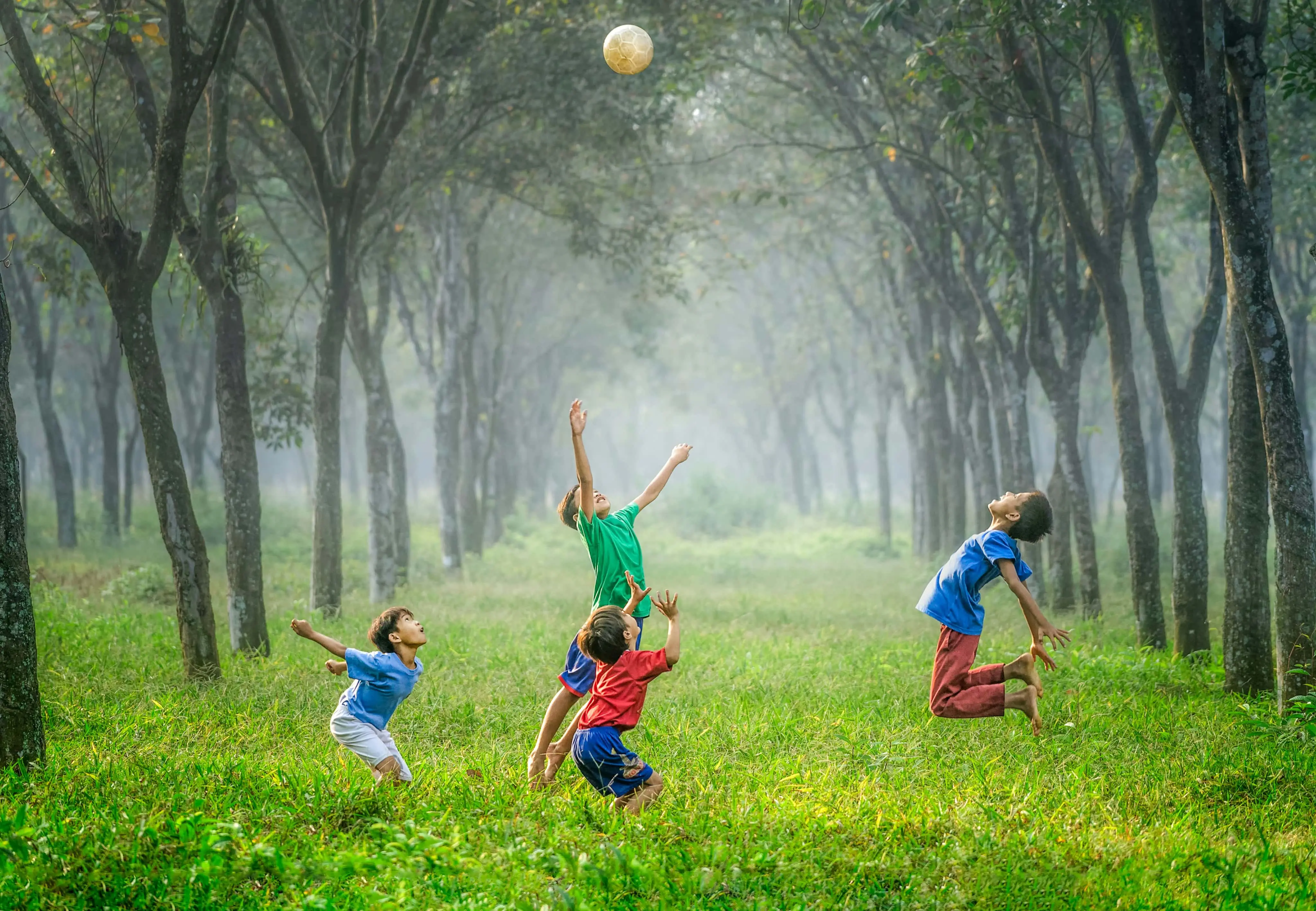 Children running in a forest clearing